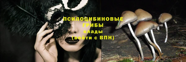тгк Краснотурьинск