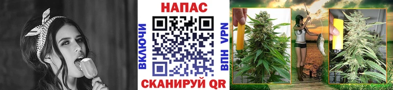 Купить закладки  Рославль  МАРИХУАНА VHQ 